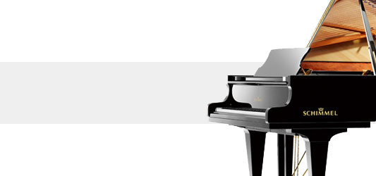 schimmel piano model c120em